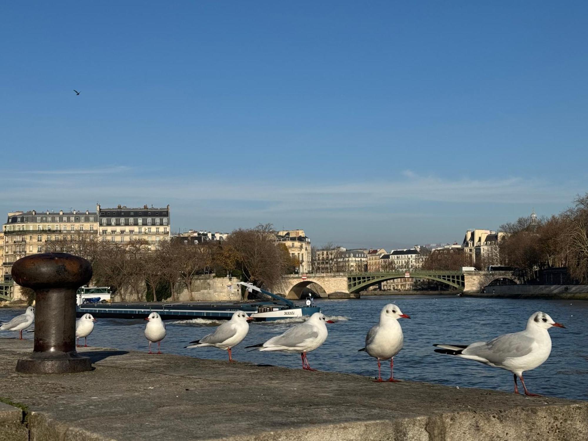 New Private Apartment Paris City Center - Les Arenes Pantheon Notre-Dame Jussieu Jardin Des Plantes Quai De Seine エクステリア 写真